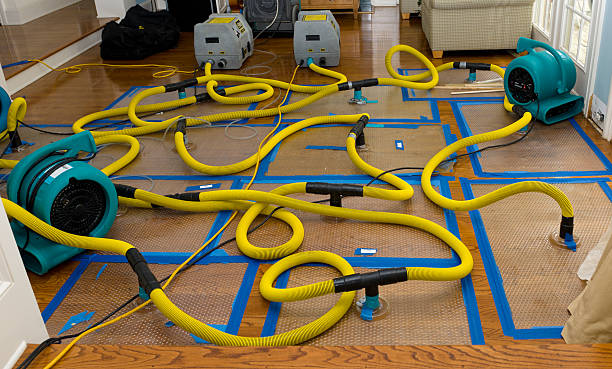 Professional Crawl Space Water Removal technician working in New Hyde Park, NY